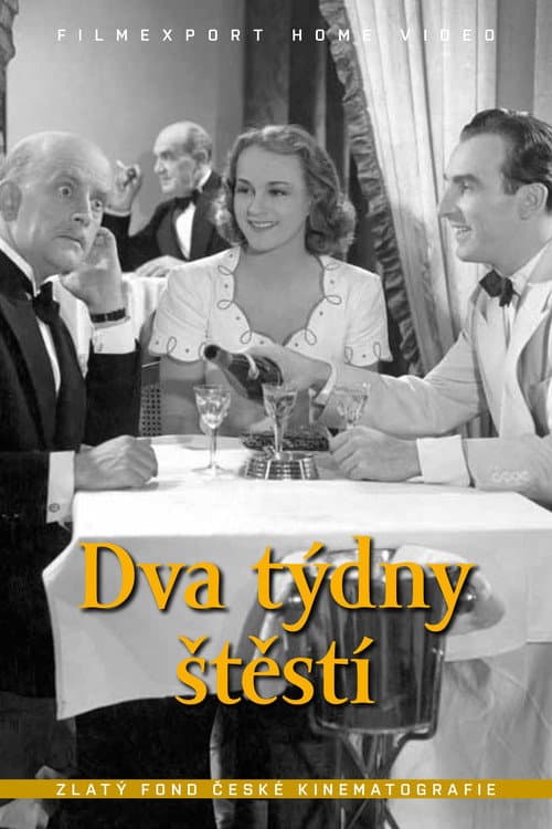 Постер: Dva týdny štěstí