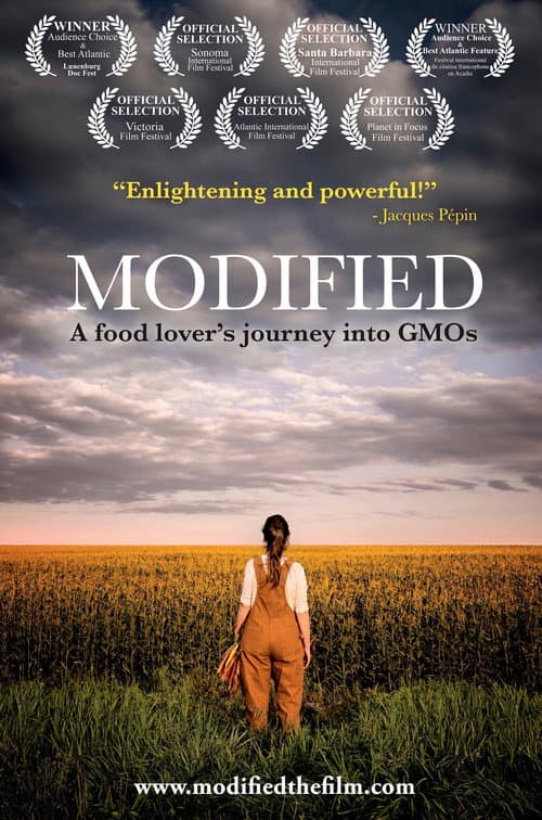Постер: Modified