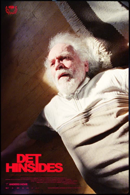 Постер: Det Hinsides