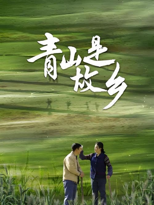 Постер: 青山是故乡