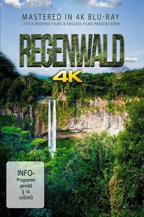 Постер: Regenwald