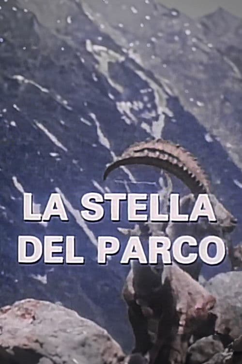 Постер: La Stella Del Parco