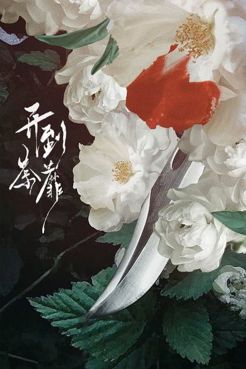 Постер: 开到荼靡