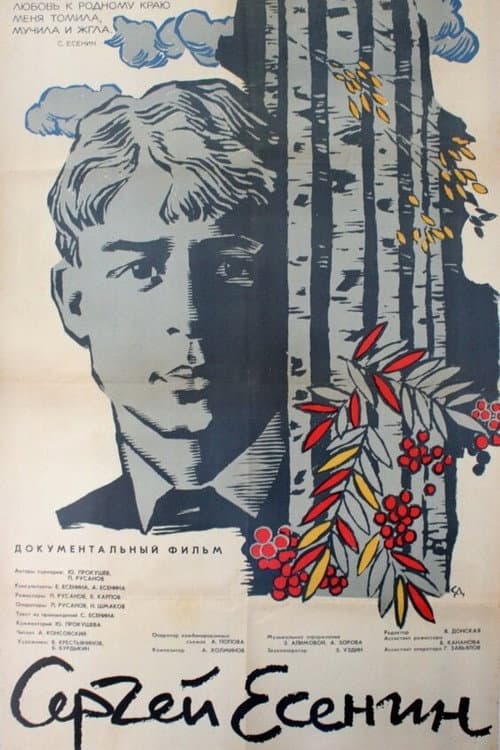 Постер 2