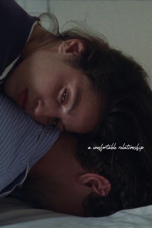 Постер: A Comfortable Relationship