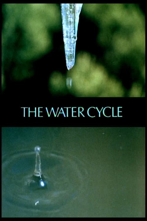 Постер: The Water Cycle