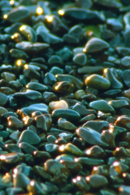 Постер: Jasper Beach and The Salt Marsh