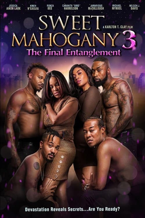 Постер: Sweet Mahogany 3: The Final Entanglement