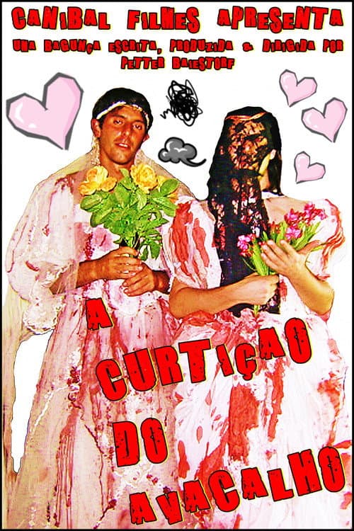 Постер: A Curtição do Avacalho