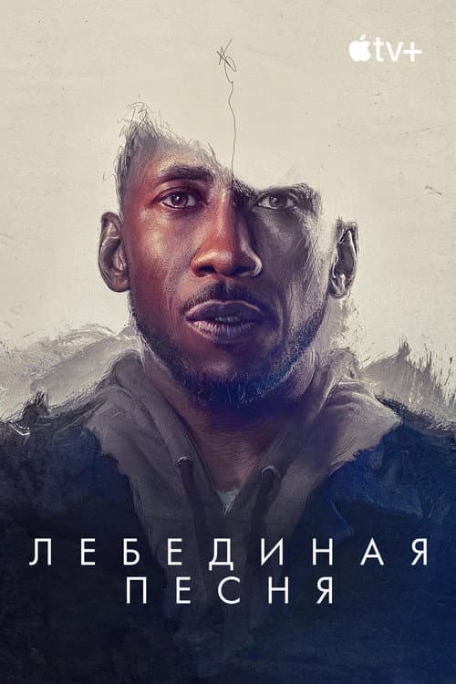 Кадр 4