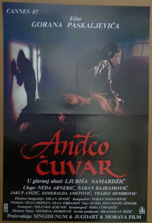 Постер: Anđeo čuvar