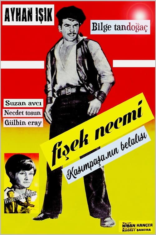 Постер: Fişek Necmi