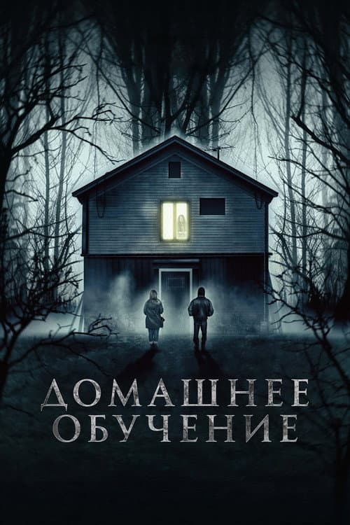 Постер: Домашнее обучение
