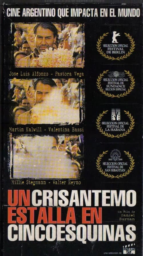 Постер: Un crisantemo estalla en cinco esquinas