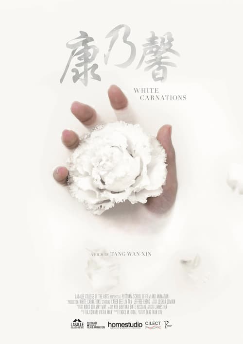 Постер: 康乃馨