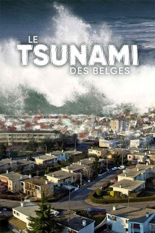 Постер: Le Tsunami des belges