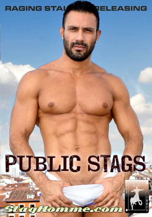 Постер: Public Stags