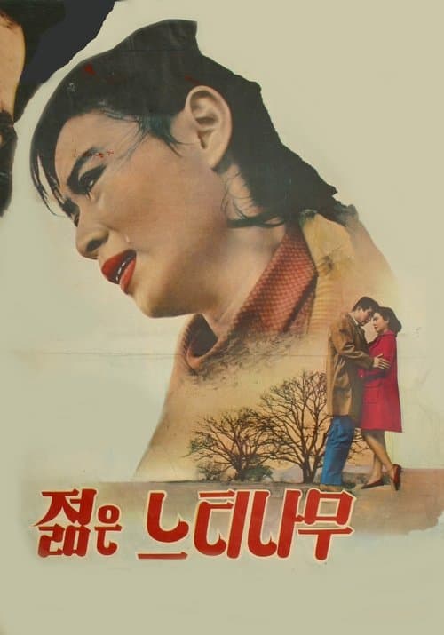 Постер: 젊은 느티나무