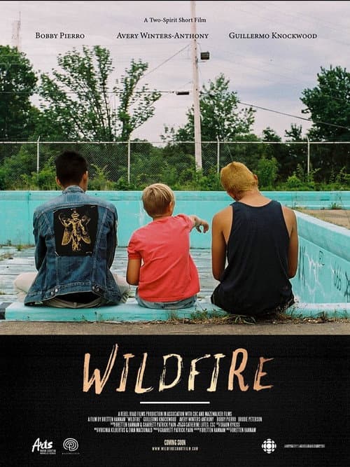 Постер: Wildfire