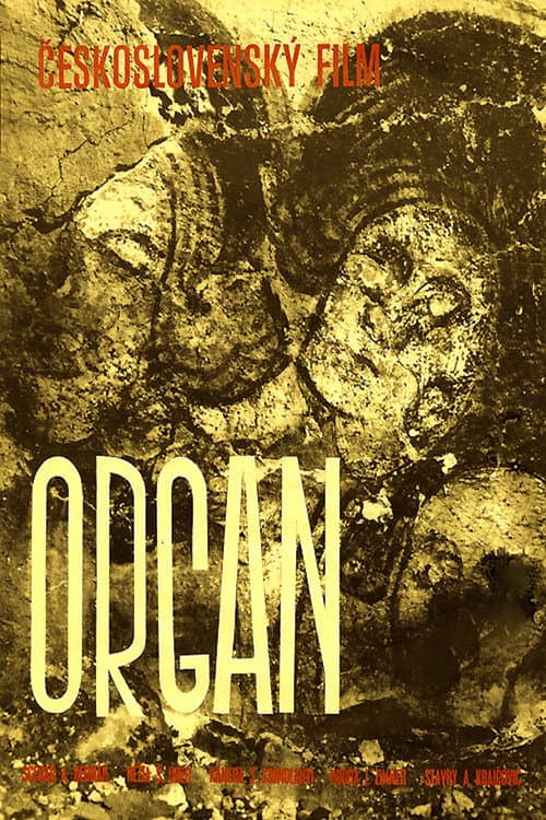 Постер: Organ
