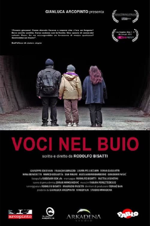 Постер: Voci nel buio