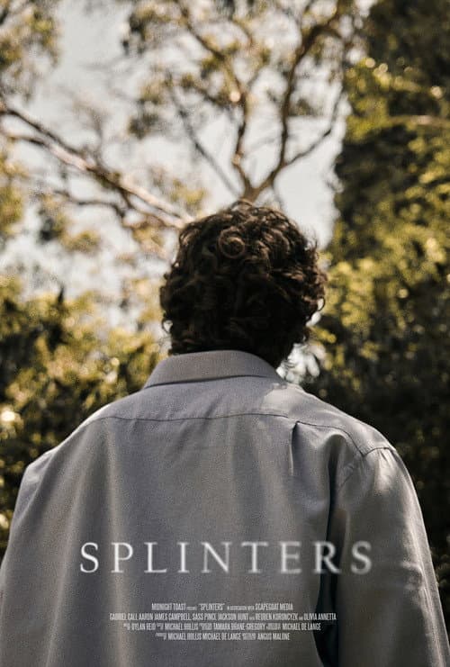 Постер: Splinters