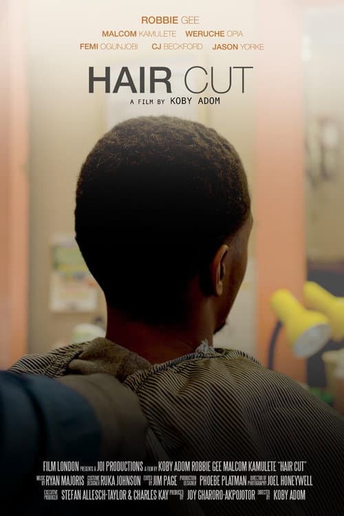Постер: Haircut