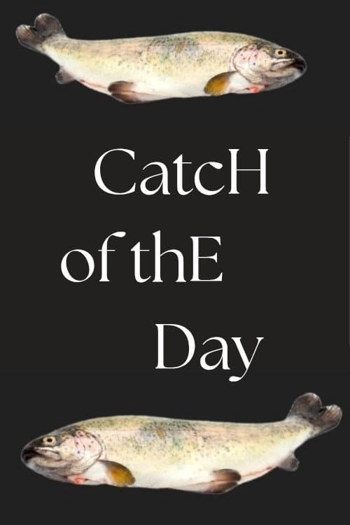 Постер: Catch of the Day