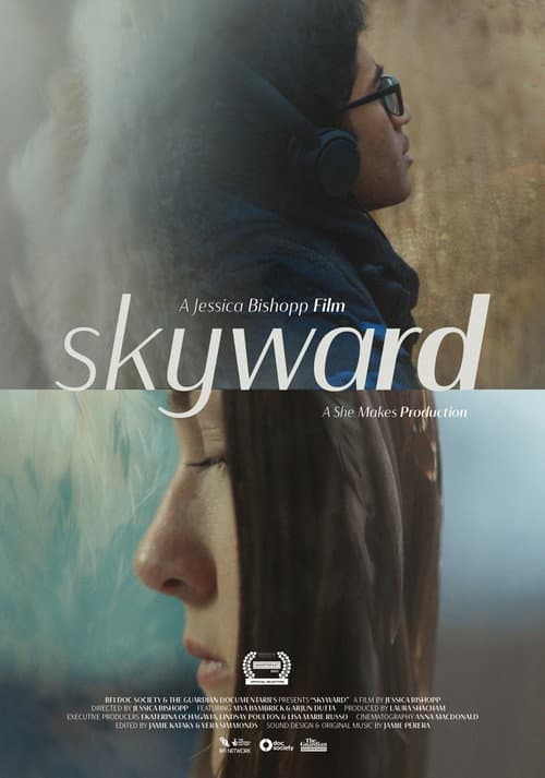 Постер: Skyward
