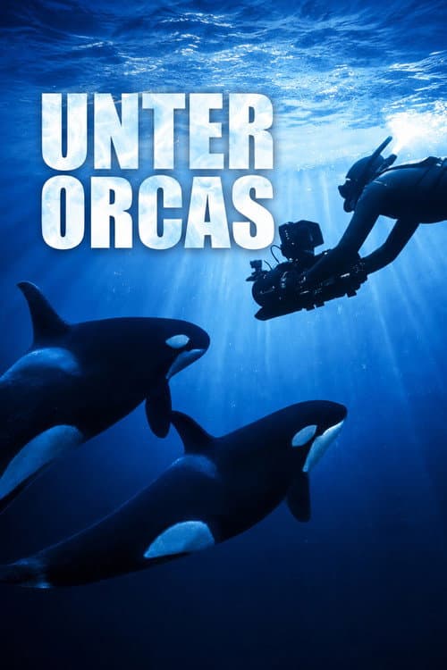 Постер: Unter Orcas