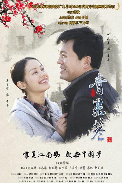 Постер: 青果巷