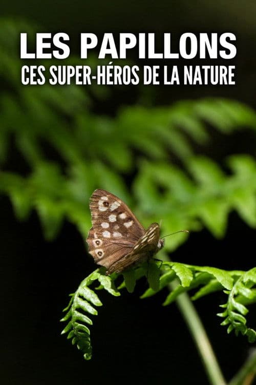 Постер: Les Papillons, ces super-héros de la nature