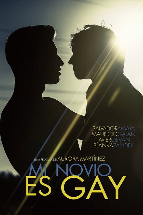 Постер: Mi novio es gay