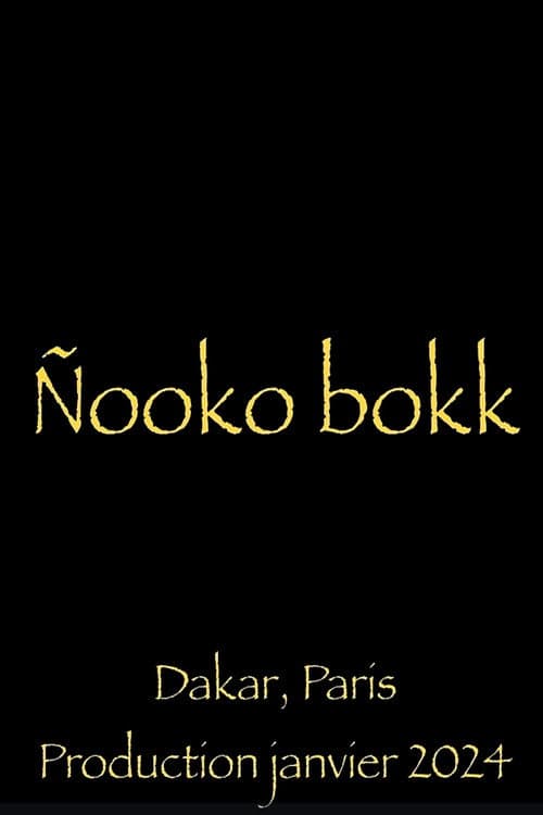 Постер: Nooko Bokk