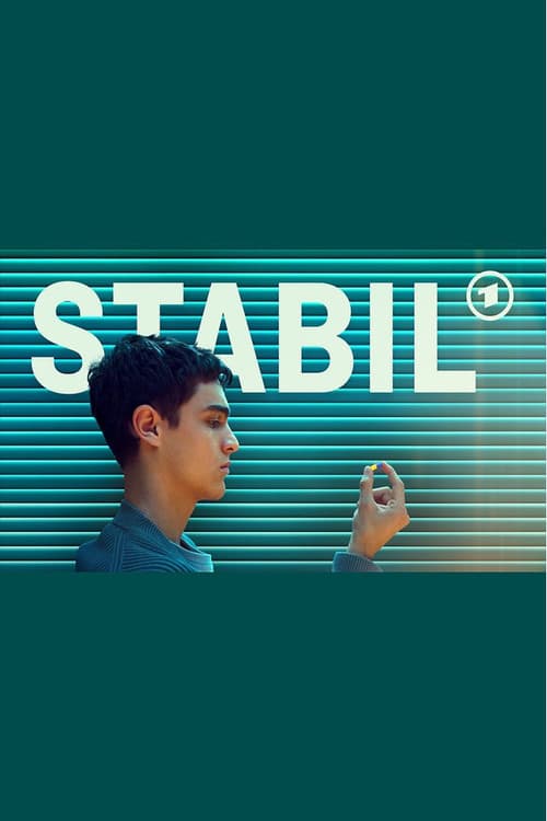 Постер: Stabil