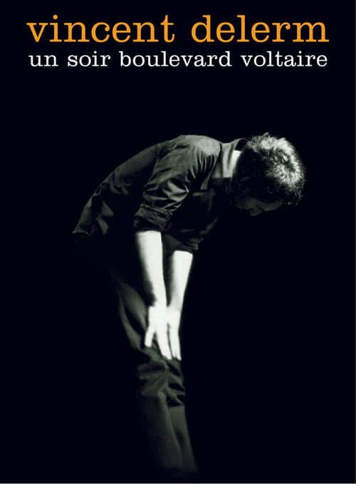 Постер: Vincent Delerm - Un soir boulevard Voltaire