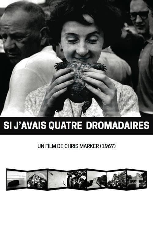Постер: Si j'avais quatre dromadaires
