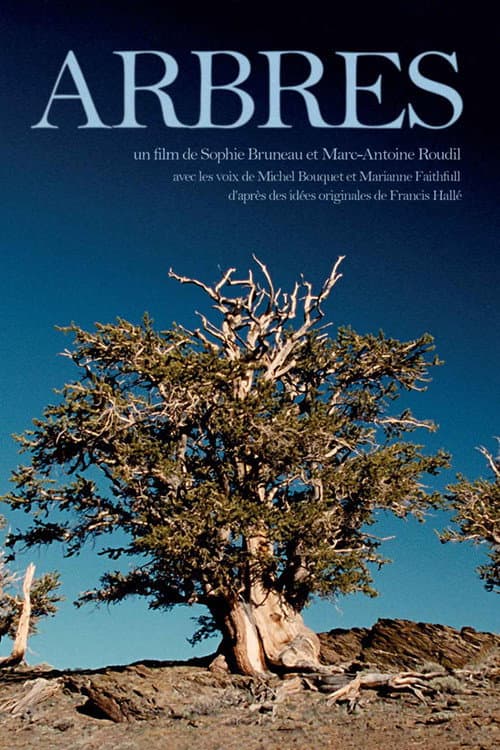 Постер: Arbres