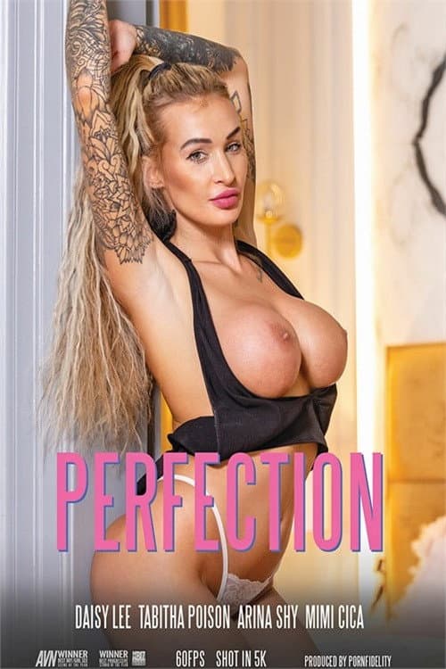 Постер: Perfection