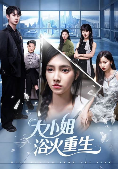 Постер: 大小姐浴火重生