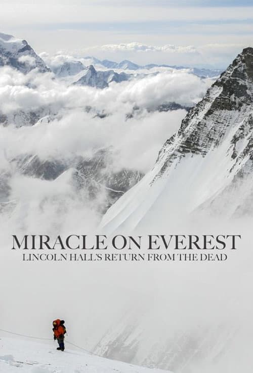 Постер: Miracle on Everest