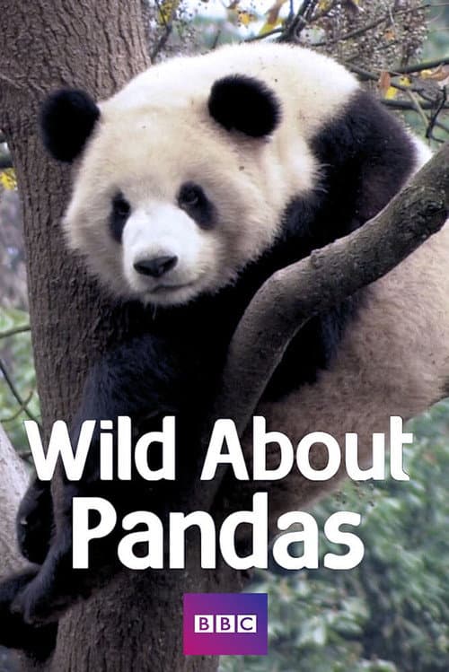 Постер: Wild About Pandas