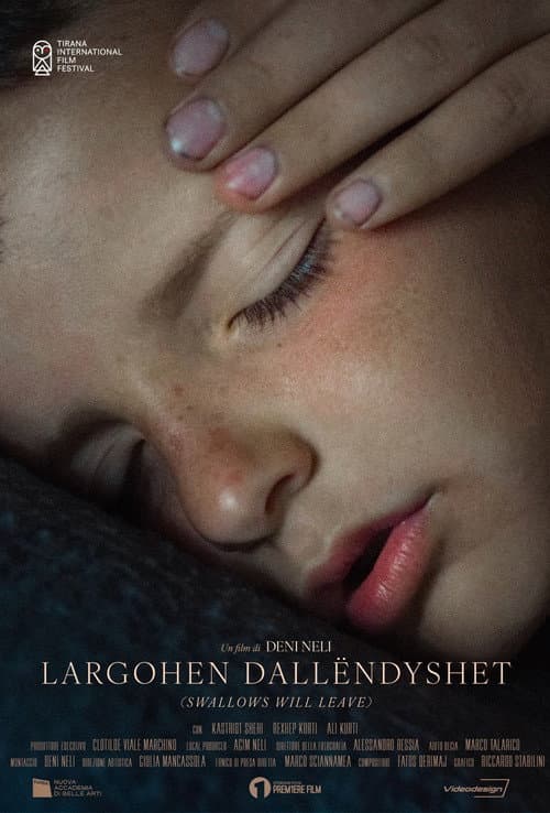 Постер: Largohen Dallëndyshet