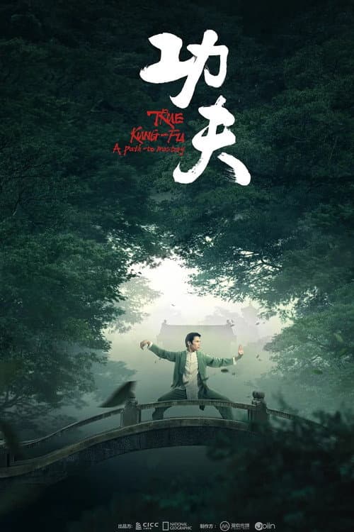 Постер: 功夫