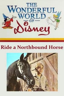 Постер: Ride a Northbound Horse