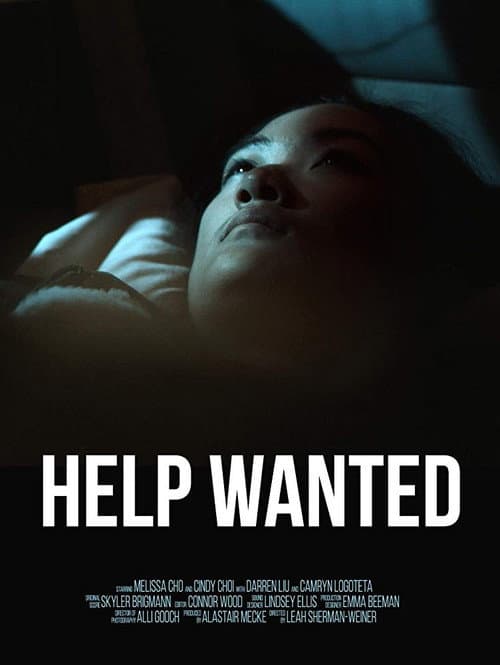Постер: Help Wanted