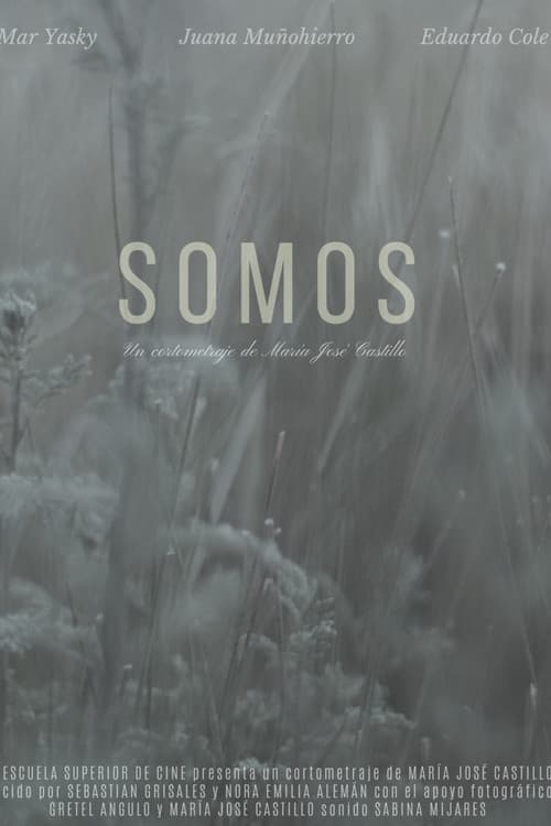 Постер: Somos