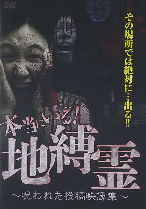 Постер: 本当にいる!地縛霊~呪われた投稿映像集~