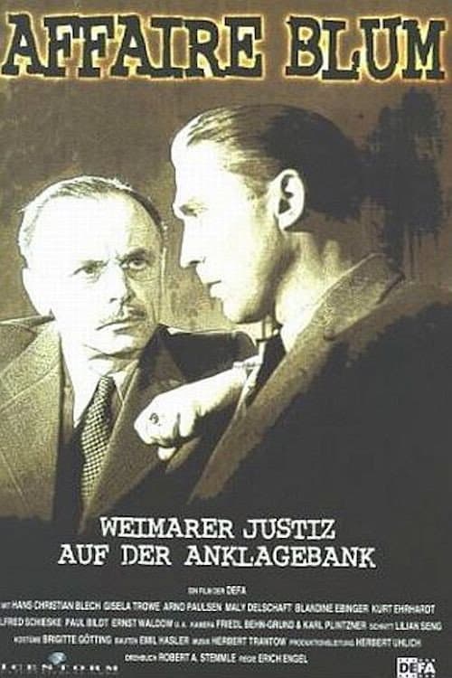 Постер: Affäre Blum