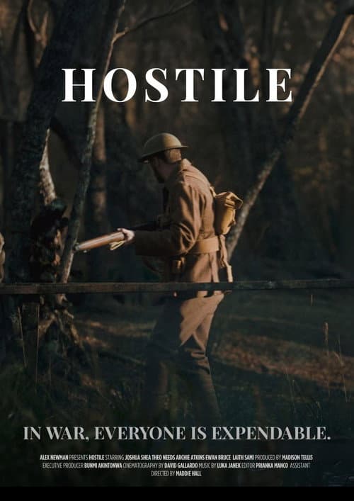 Постер: Hostile